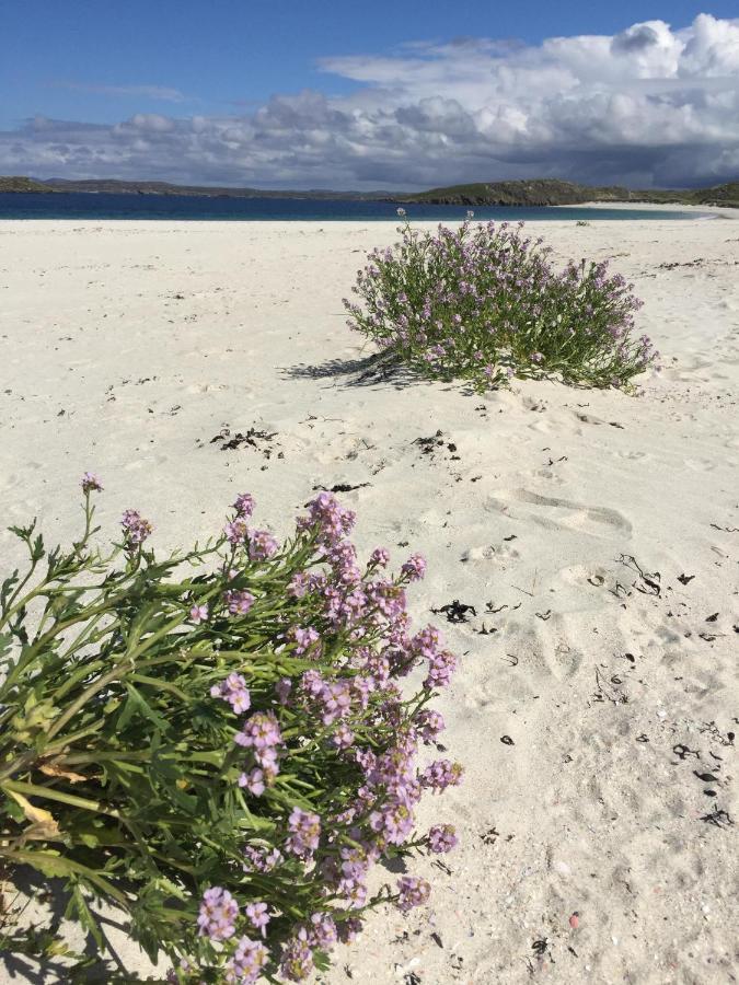 Sands